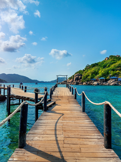 Pari Tours and Travels
