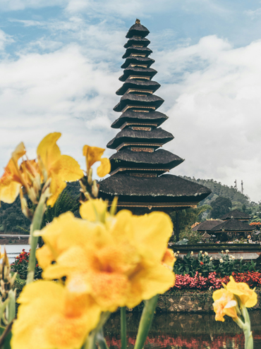 You Should See Things when visiting Bali