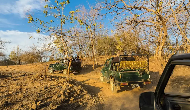 Gir National Park
