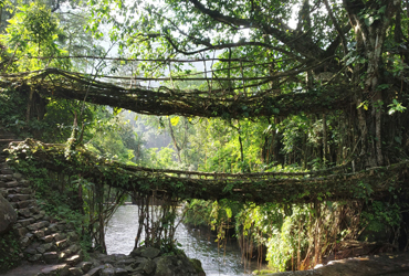 Meghalaya Tour