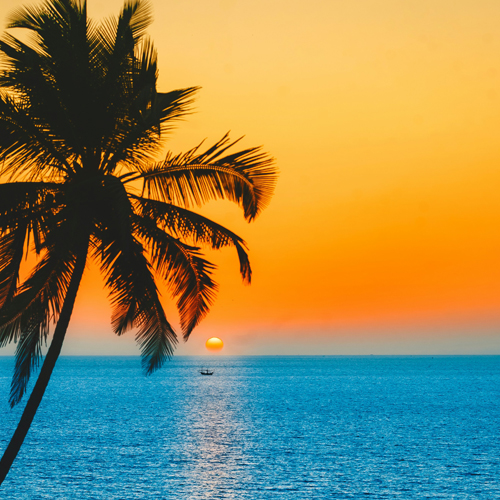 Goa Tour