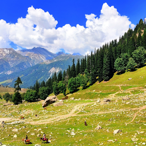Kashmir Tour