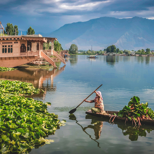 Kashmir Tour
