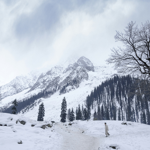 Kashmir Tour