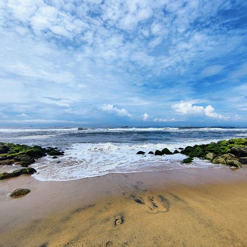 Kerala Tour