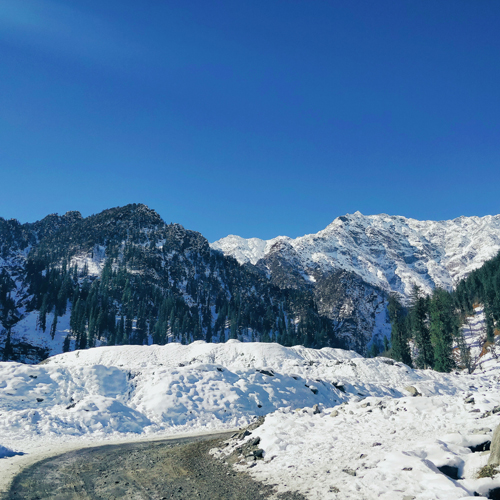 Shimla Manali Tour