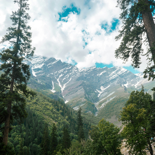 Shimla Manali Tour