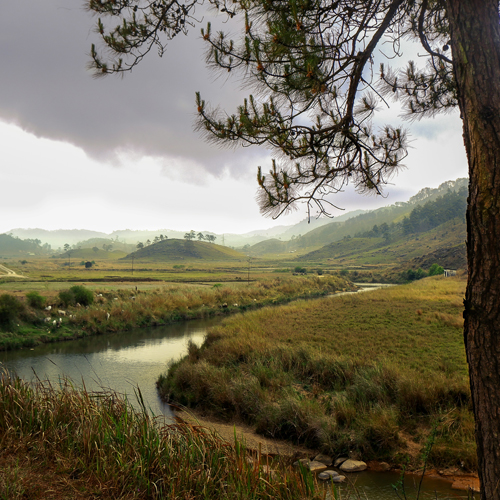 Meghalaya Tour