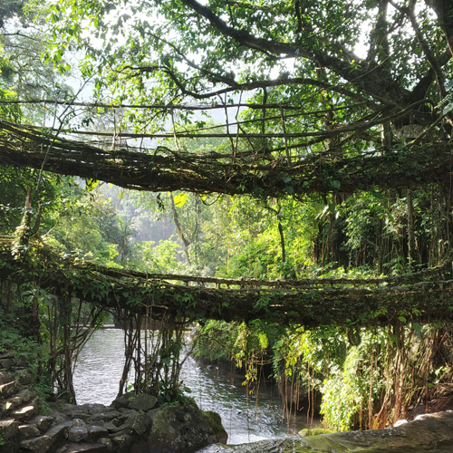 Meghalaya Tour