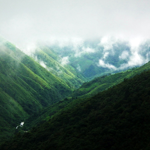 Meghalaya Tour