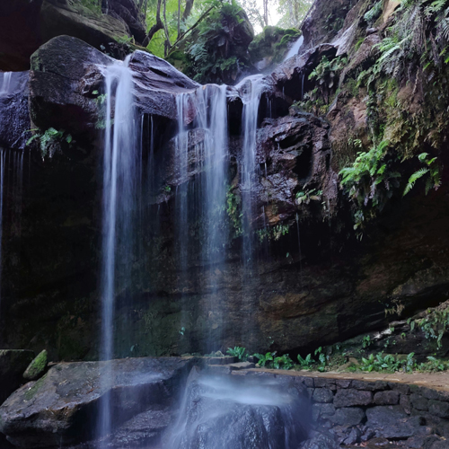 Meghalaya Tour