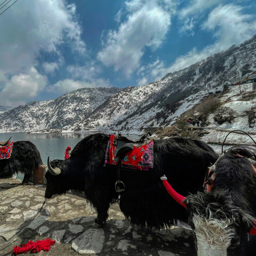 Sikkim Tour