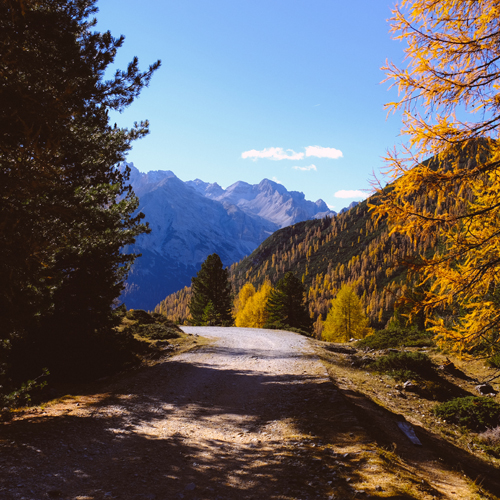 Uttarakhand Tour